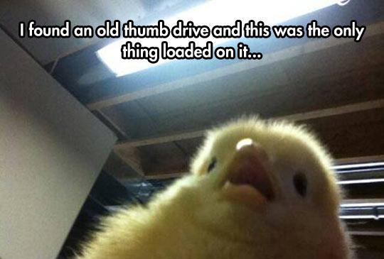 bah%26%238230%3B+GAHK