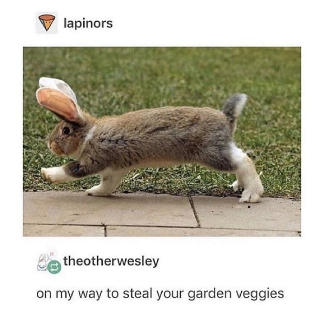 Spring+is+coming+at+you.