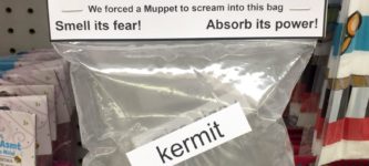 Muppet+fear+in+a+bag