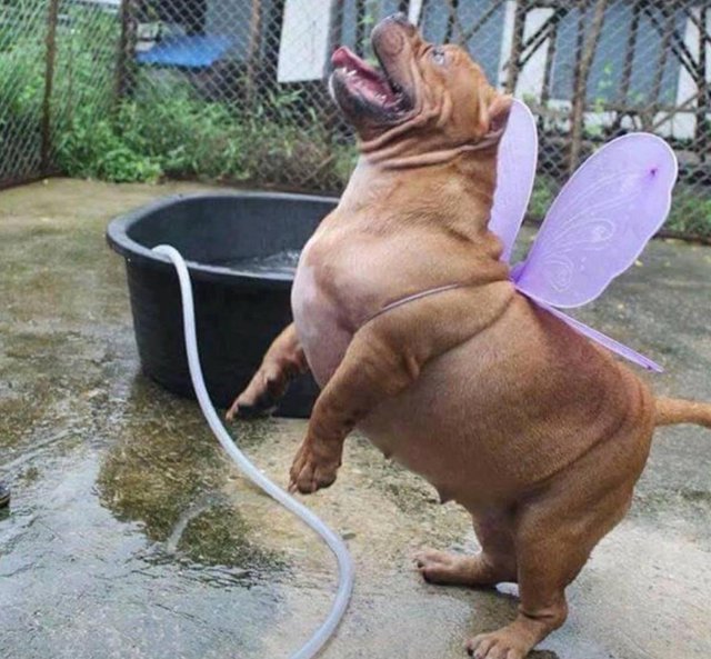 You+is+smart%2C+you+is+kind%2C+you+is+important