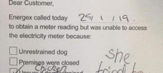 Energex+couldn%26%238217%3Bt+check+my+meter+due+to+my+chicken