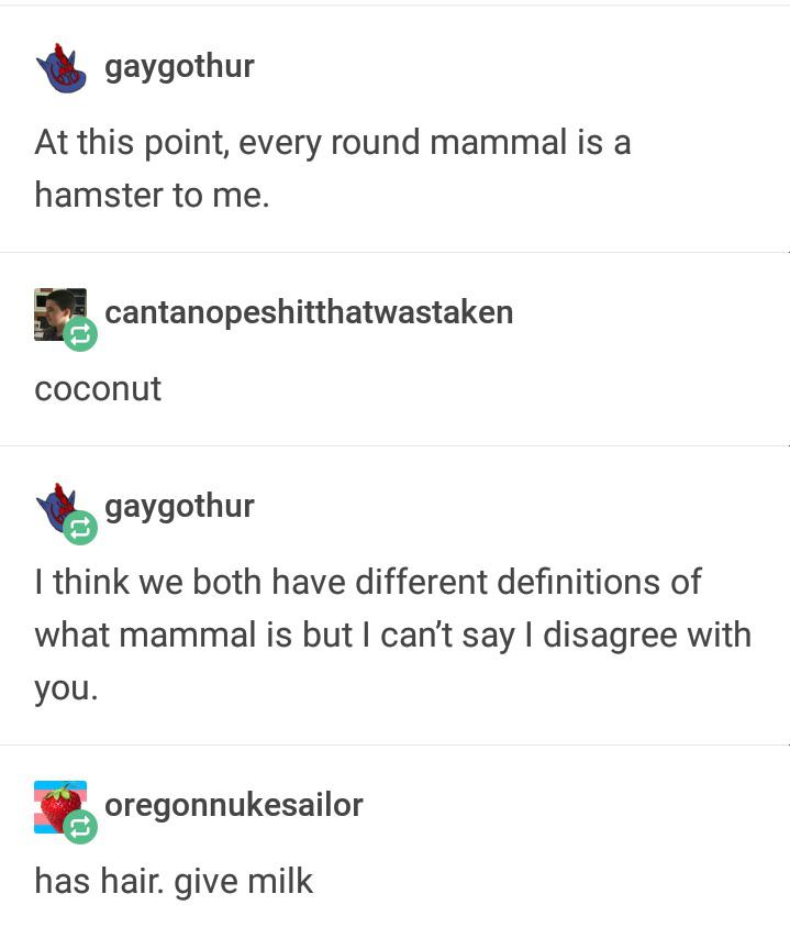 I+mean%2C+he+is+not+wrong%21