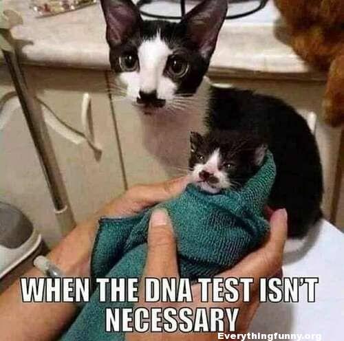 Get+Maury+Povich+on+the+line%26%238230%3B