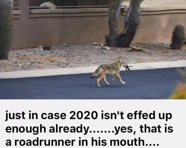 The+Fourth+Horseman+has+arrived.