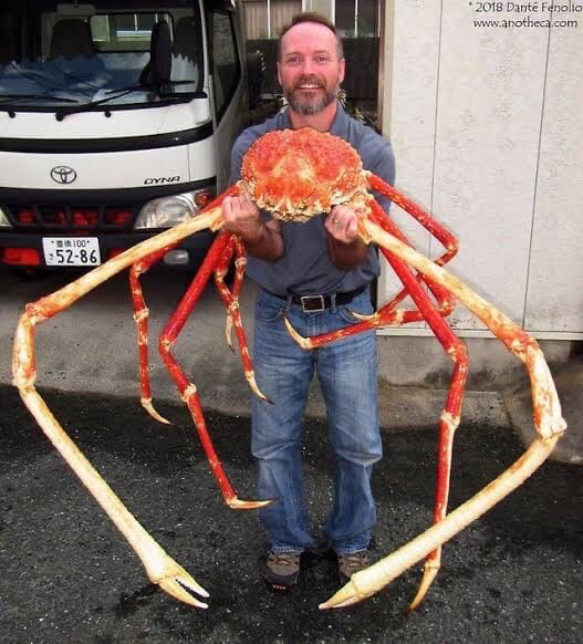 Alaskan+cold+water+crabs+are+legitimately+terrifying.