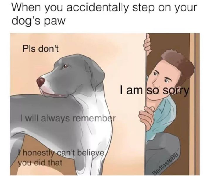 Do+not+witness+my+face%26%238230%3B