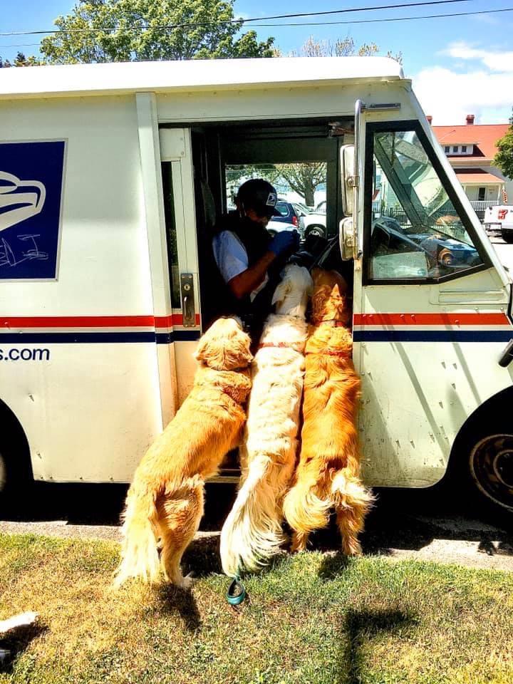 This+is+what+it%26%238217%3Bs+like+when+doge+attac.