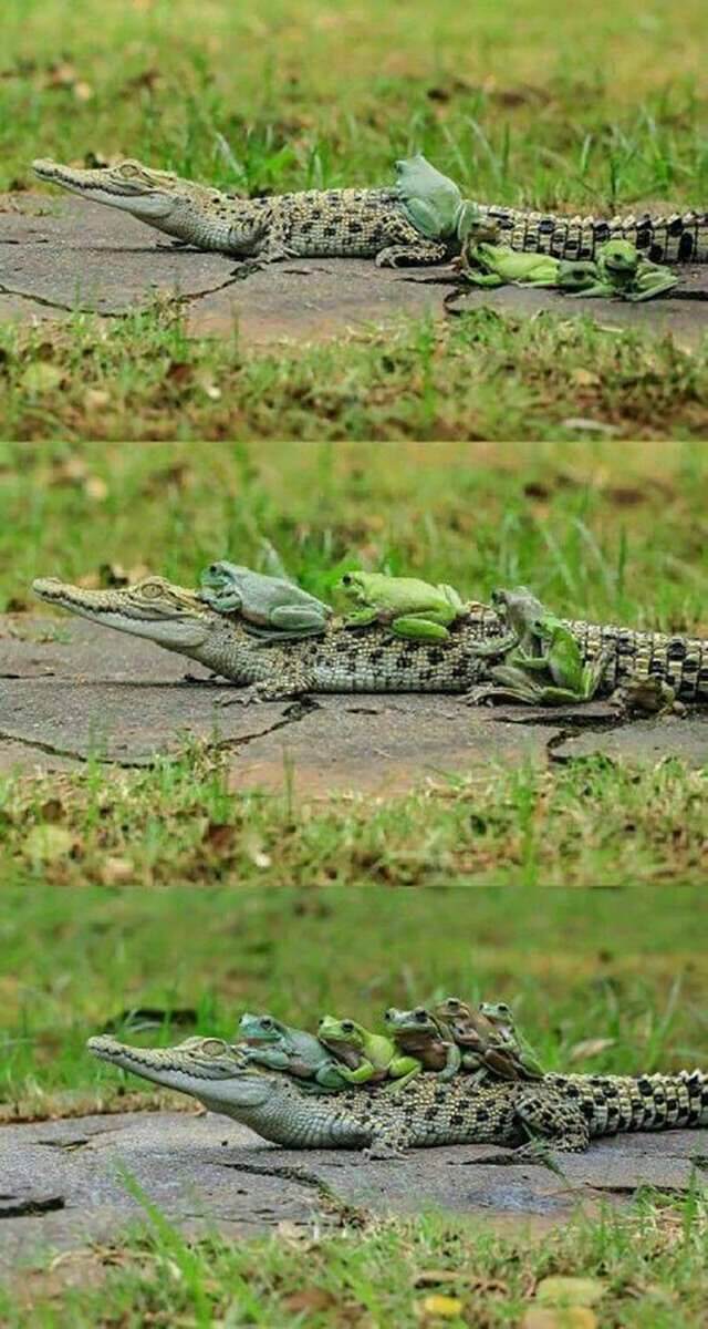 Climb+aboard%2C+explorers%21