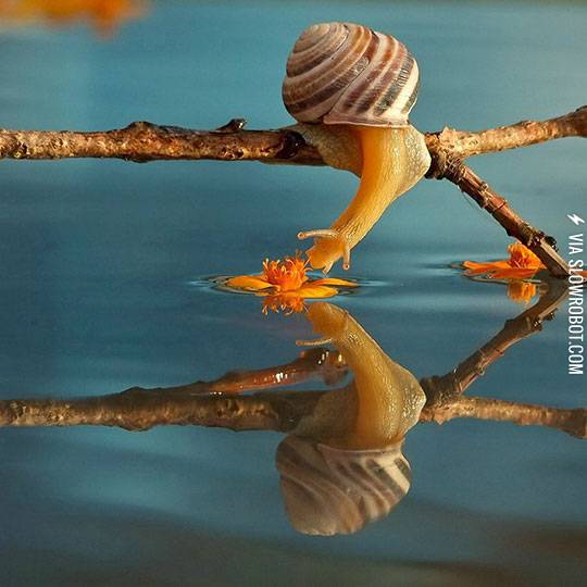 Stop+and+smell+the+flowers.