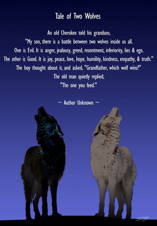 Story+Of+Two+Wolves