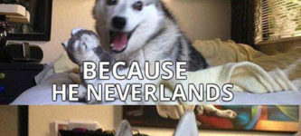 Pun+Dog+Never+Gets+Old