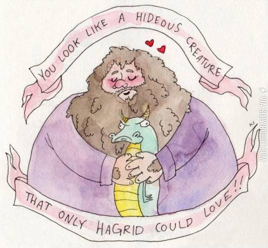 Good+guy+Hagrid.