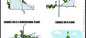 Snakes+on+a+plane.