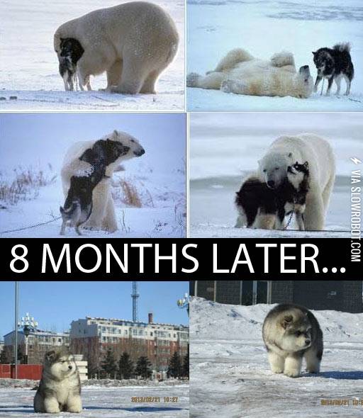 It+was+a+wild+night.