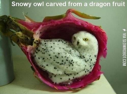 Snowy+owl+carved+from+a+dragon+fruit.