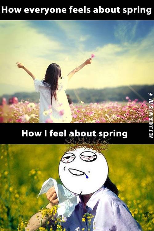 Now+that+spring+is+in+the+air.