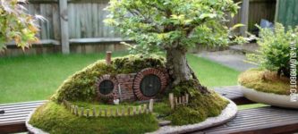 %26quot%3BBag+End+Bonsai+Trayscape%26quot%3B+by+Chris+Guise