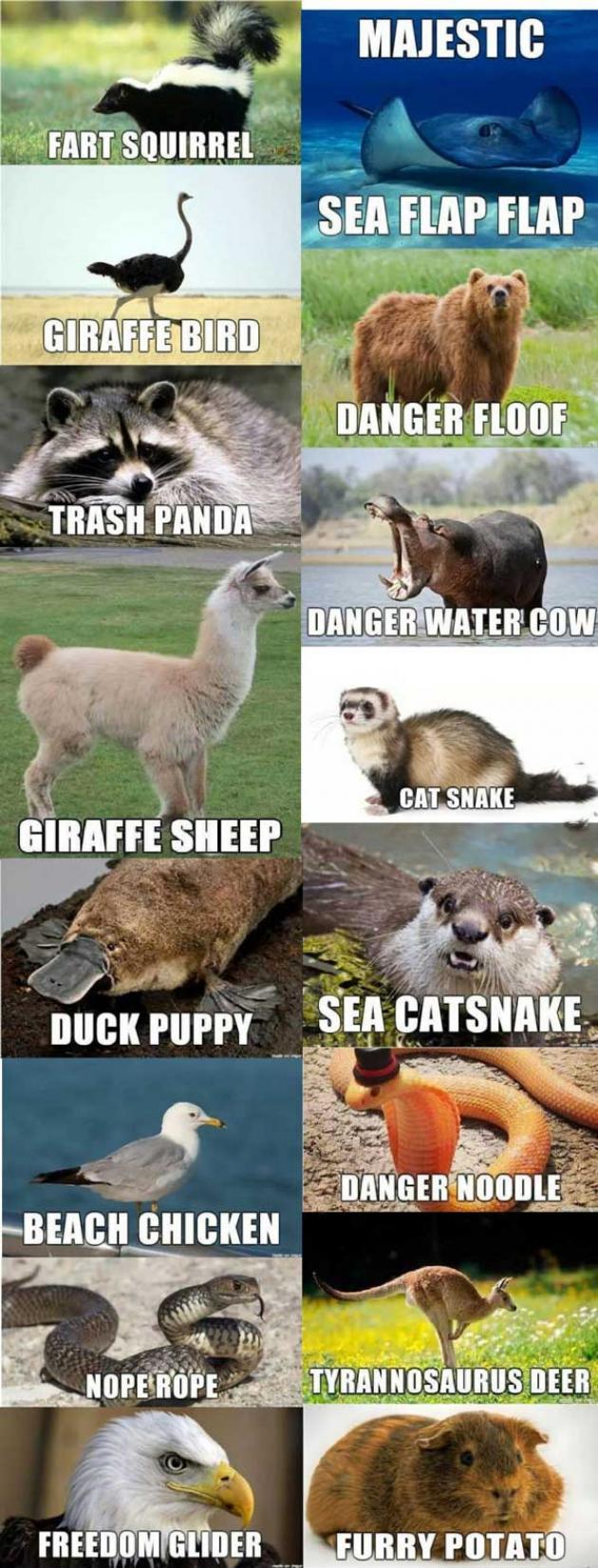 If+I+had+to+name+some+animals.