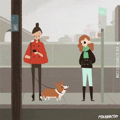 When+a+dog+smiles+at+you