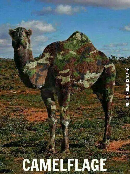 Camelflage