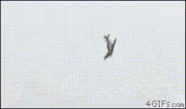 Pull+up%21+Pull+up%21