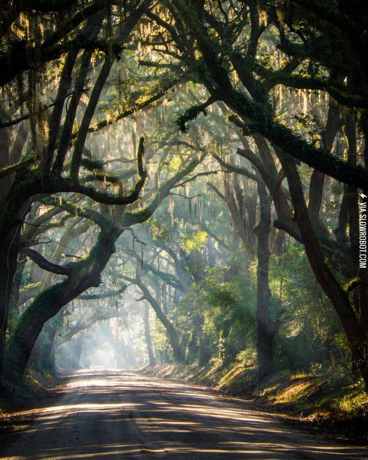 The+rural+roads+of+South+Carolina