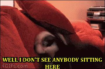 Dog%2C+get+off+the+couch%21