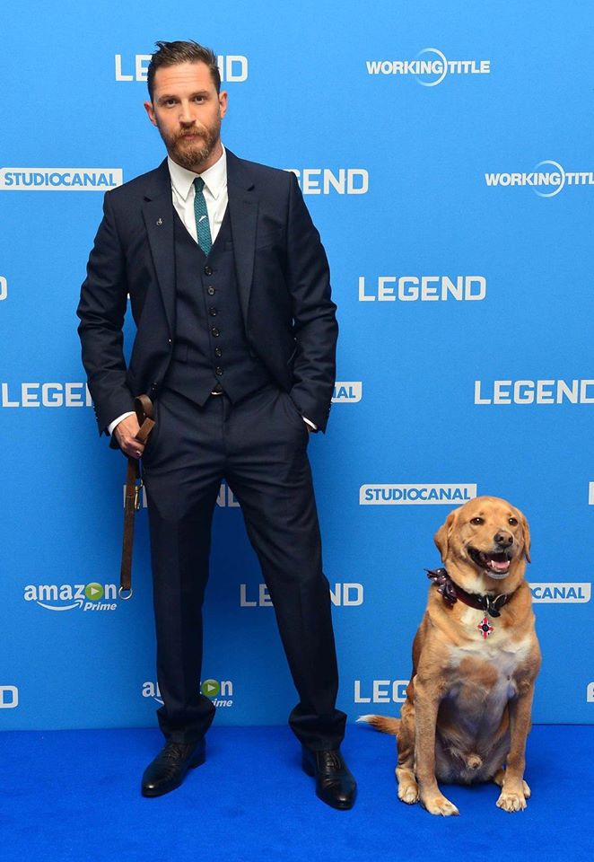 Tom+Hardy+brought+his+dog+to+movie+awards