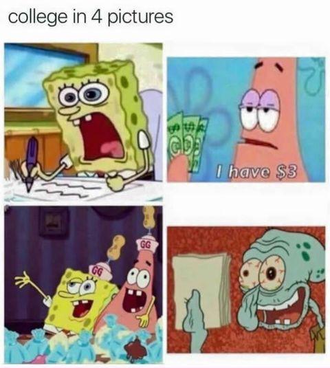 College+summarized+in+4+pictures