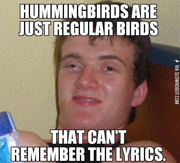 How+hummingbirds+were+named.
