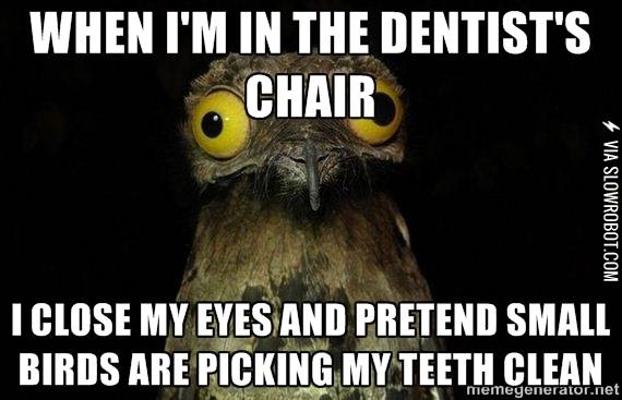 At+the+dentist.