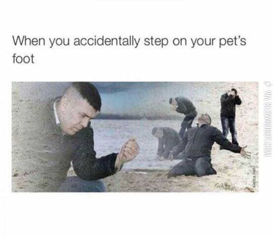 When+you+accidentally+step+on+your+pet%26%238217%3Bs+foot.