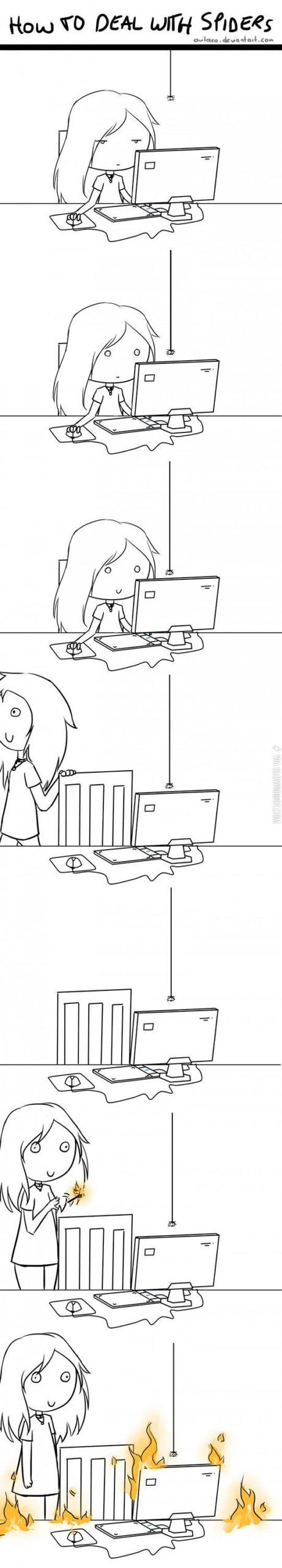 How+to+deal+with+spiders.