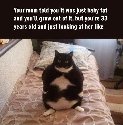 Baby+fat