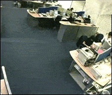 When+the+boss+is+out+of+office