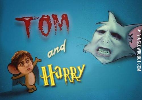 The+Tom+and+Harry+show.