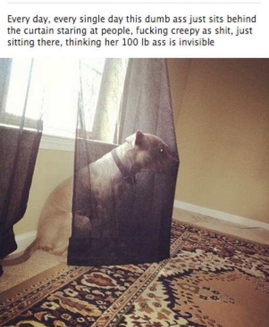 Who+are+you+talking+about%3F