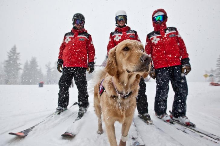 Spring+break+protectors