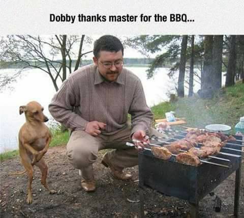 Dobby+didn%26%238217%3Bt+die.+He+went+into+Witness+Protection.