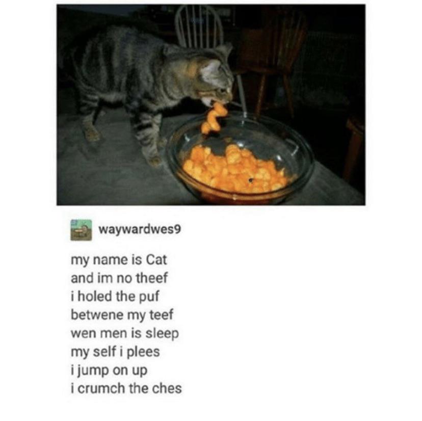 %2Acrumch%2A+%2Acrumch%2A