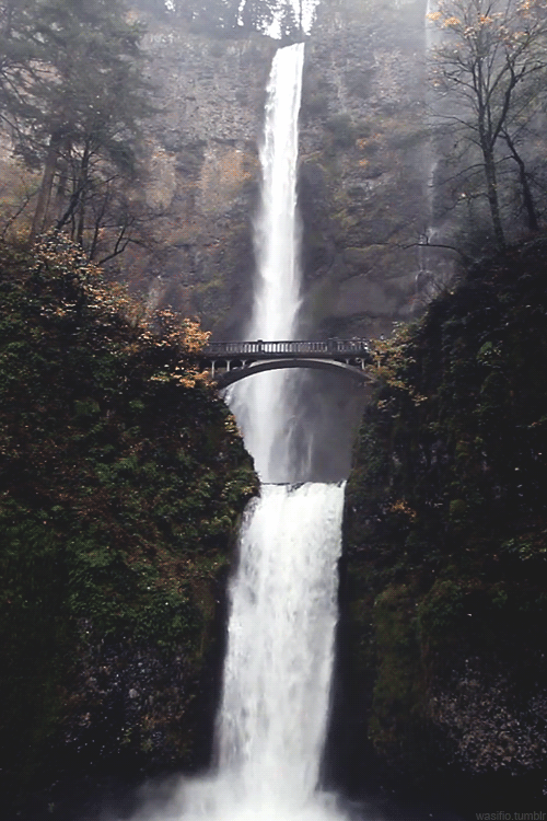 Multnomah+Falls%2C+Oregon.
