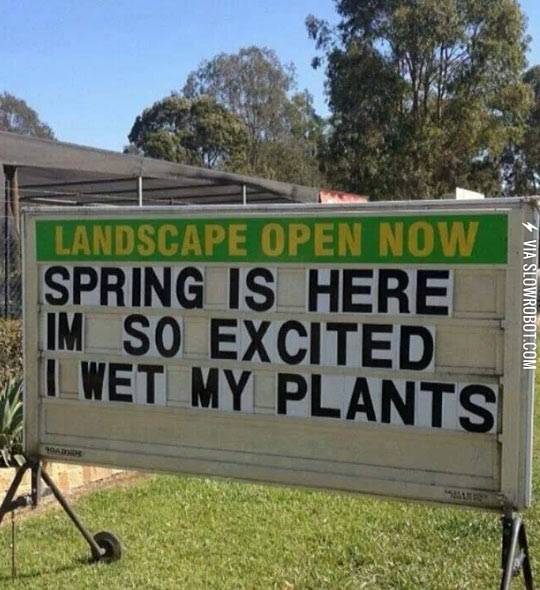 Spring+is+here.