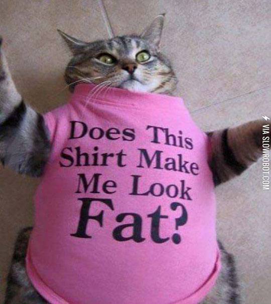 Does+this+shirt+make+me+look+fat%3F