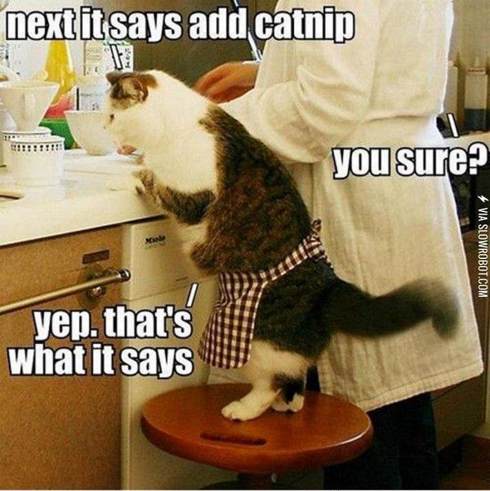 Add+catnip.