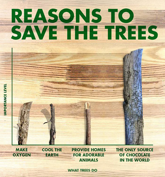 Some+Reasons+To+Save+The+Trees