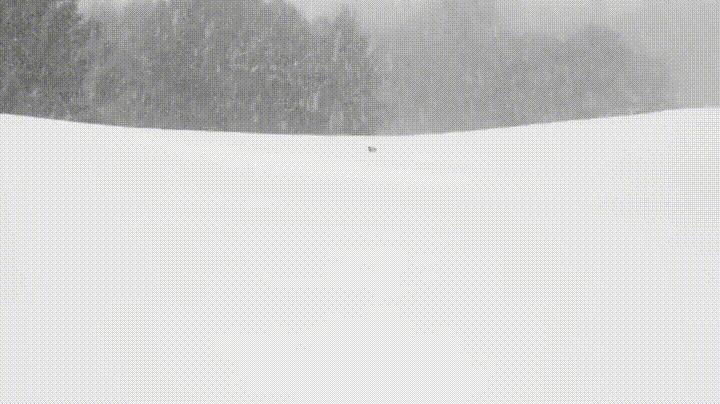 Danger+approaching+fast%21