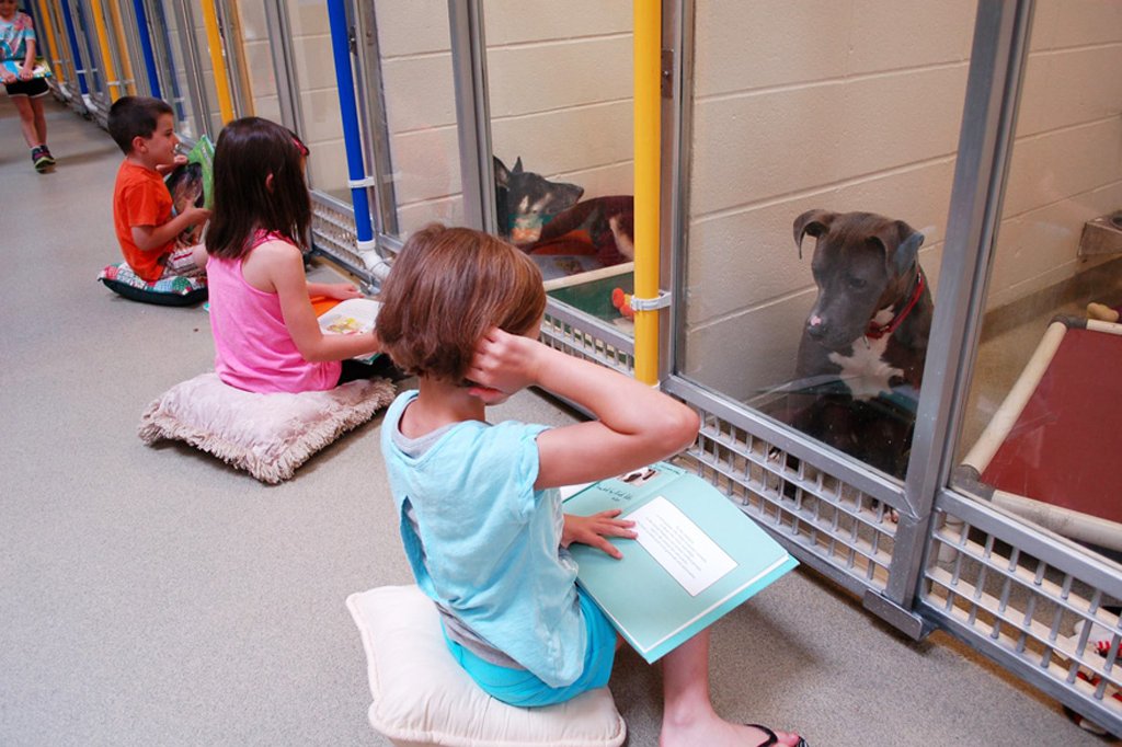 Kids+in+Missouri+practicing+their+reading+in+front+of+shelter+dogs+to+help+calm+them