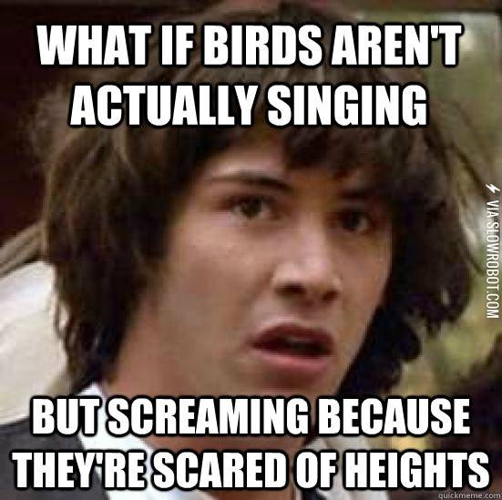 Poor+birds.
