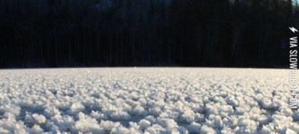 Ice+flowers+in+Finland.