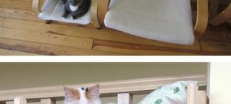Ikea+Furniture+For+Cats
